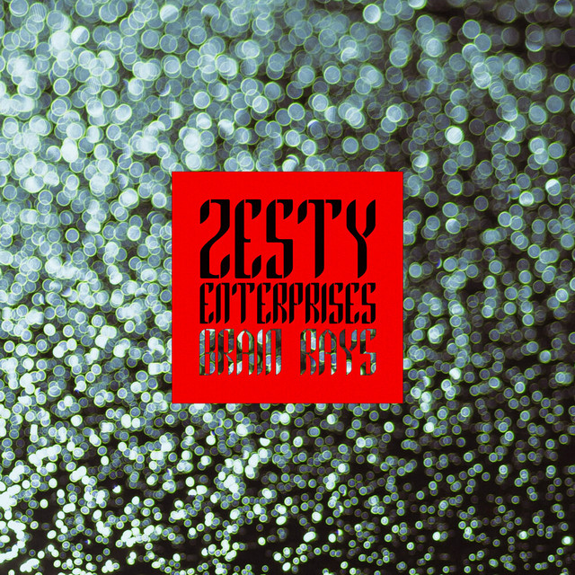 Zesty Enterprises cover art