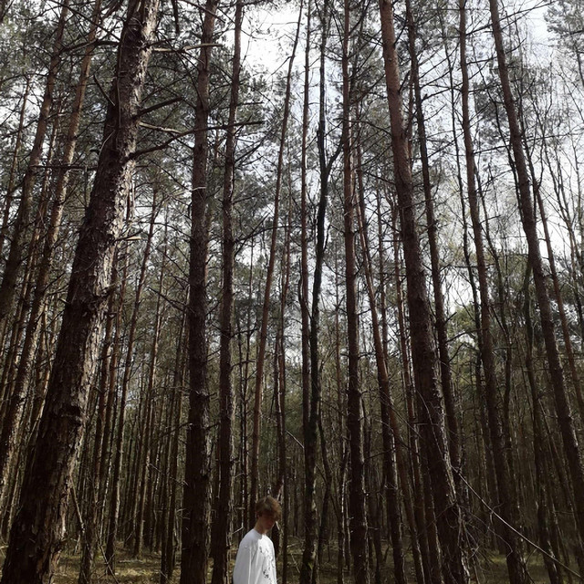 goodbyes cover art