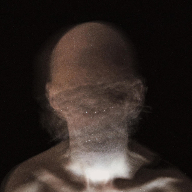The Grey Zone Phobia cover art