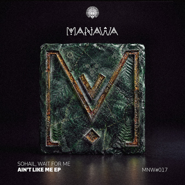 Ain't Like Me - Radio Mix