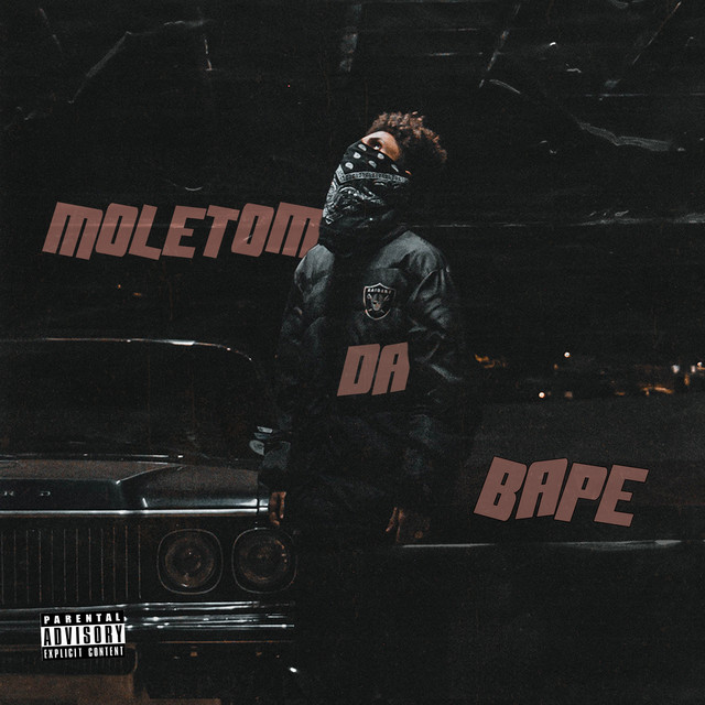Moletom da Bape