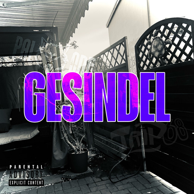 Gesindel cover