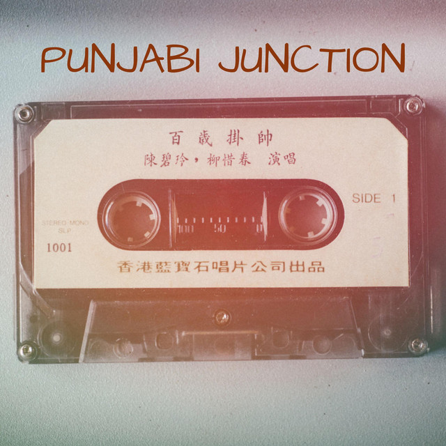 punjabi junction cover art