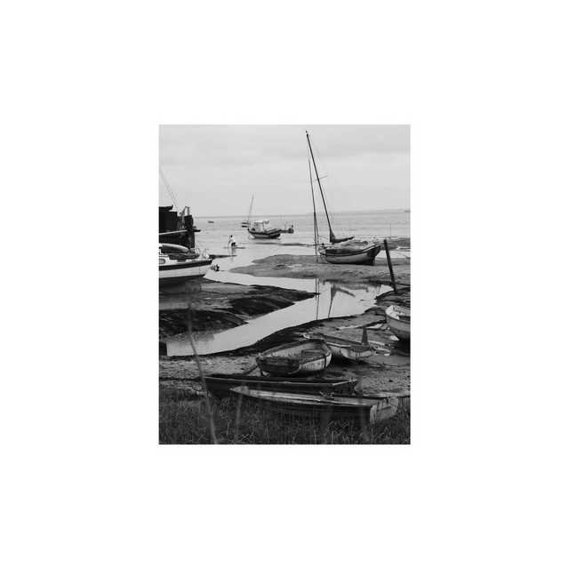 Continual cover art