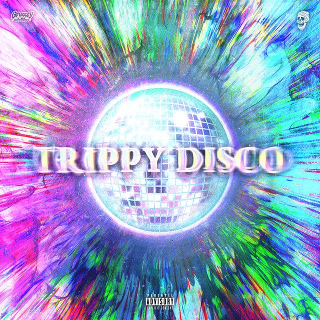 Trippy Disco cover