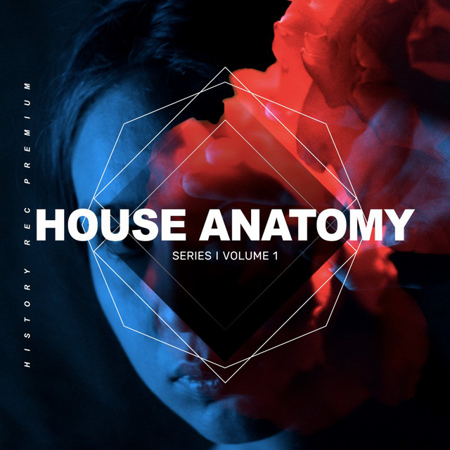 Series, Vol. 1 cover art