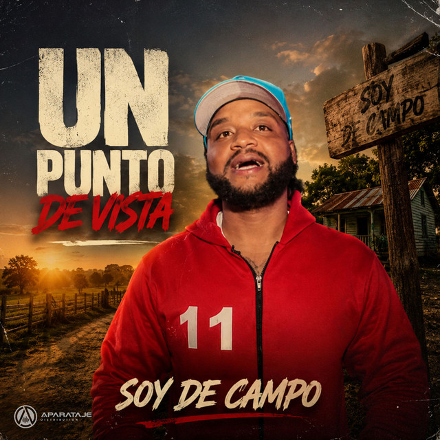 UN PUNTO DE VISTA