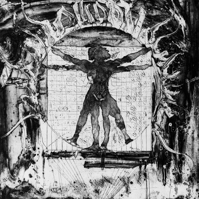 Vestigial Cock cover art
