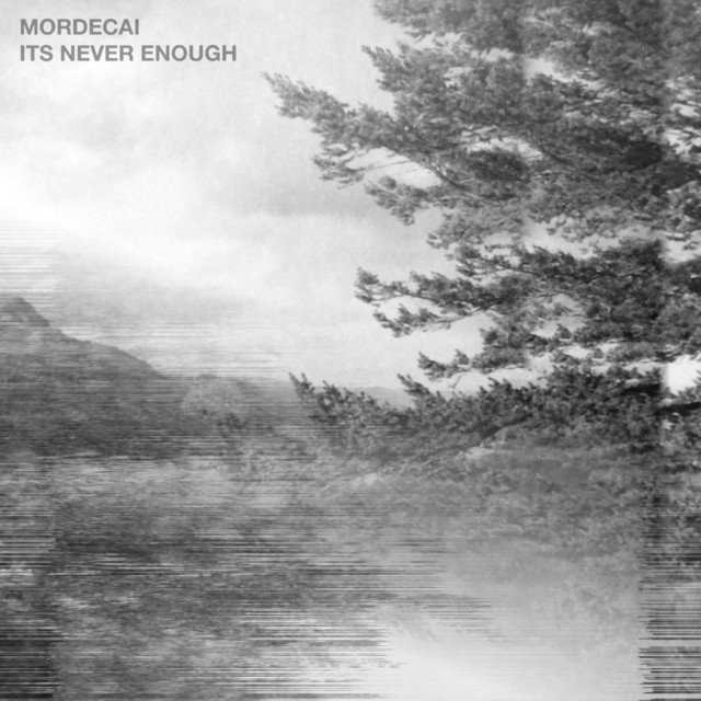 It's Never Enough cover