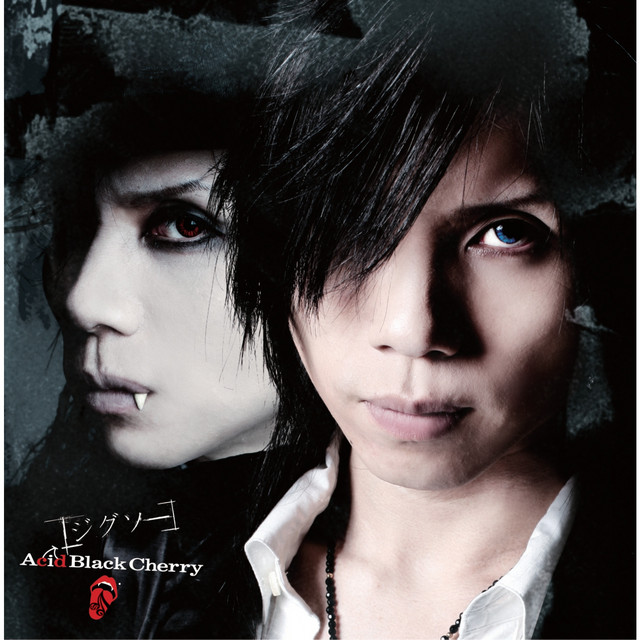 Black Cherry アクリルマグネット Acid 別ジャケver ジクソー
