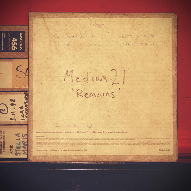 Remains (Lost Tapes Series, Vol. 1) cover