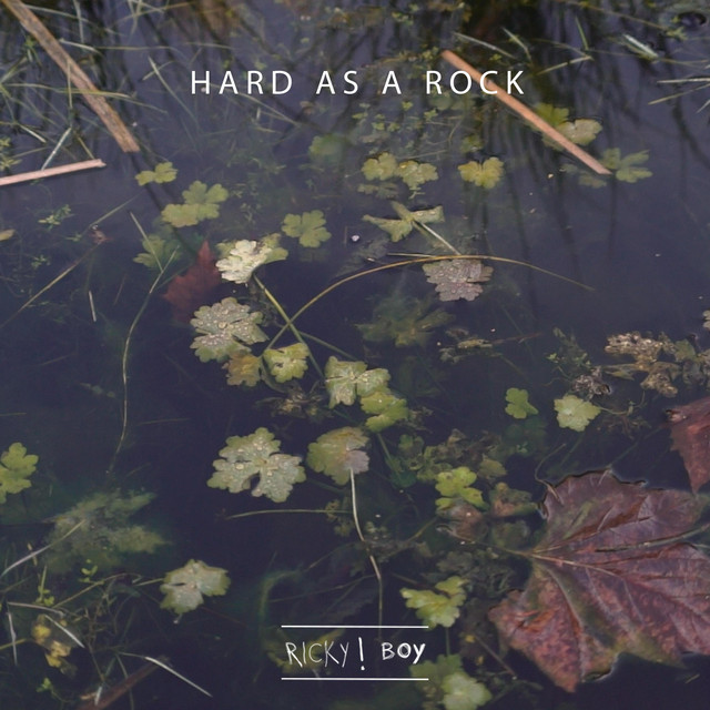 Hard as a rock - Single by Ricky!Boy | Spotify