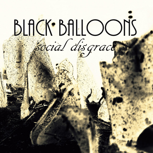 Social Disgrace cover