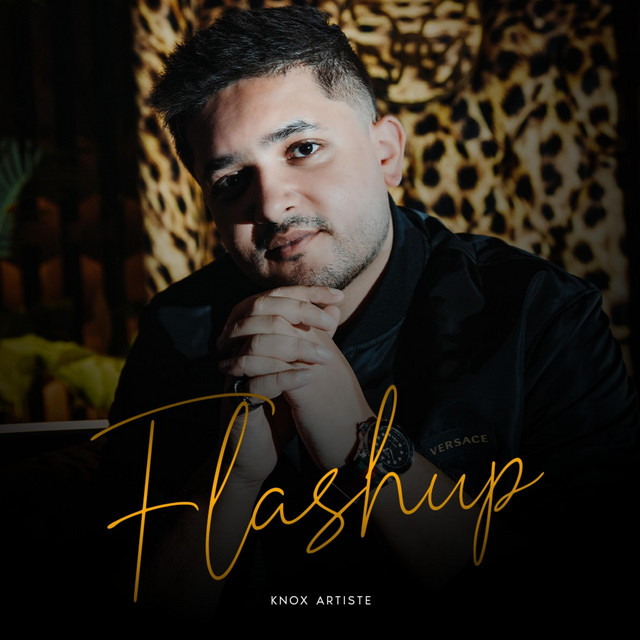 Flashup (Radio Edit) cover art