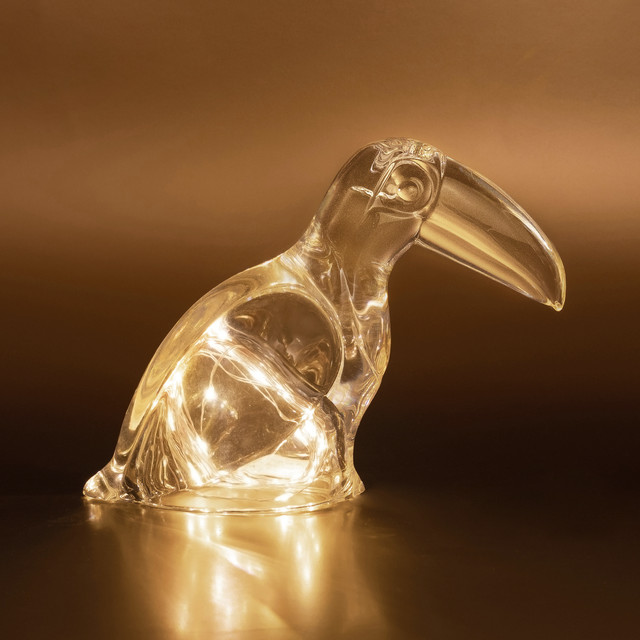 Обкладинка: octopus ~~ — toucan pelican