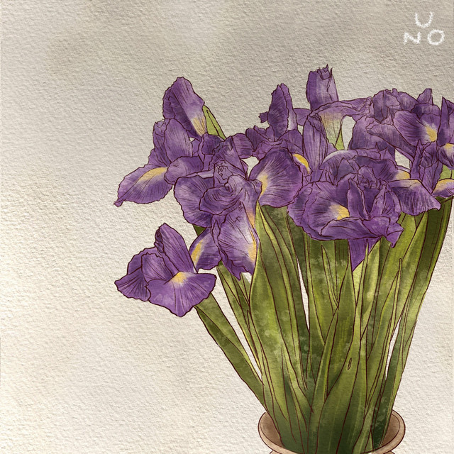 Iris cover art