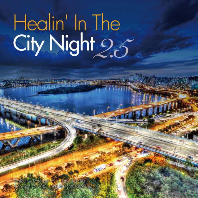 Healin' In The City Night . 2.5 (힐링 인더 시티나잇 2.5집)
