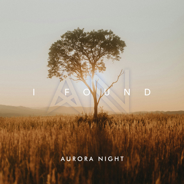 I Found cover