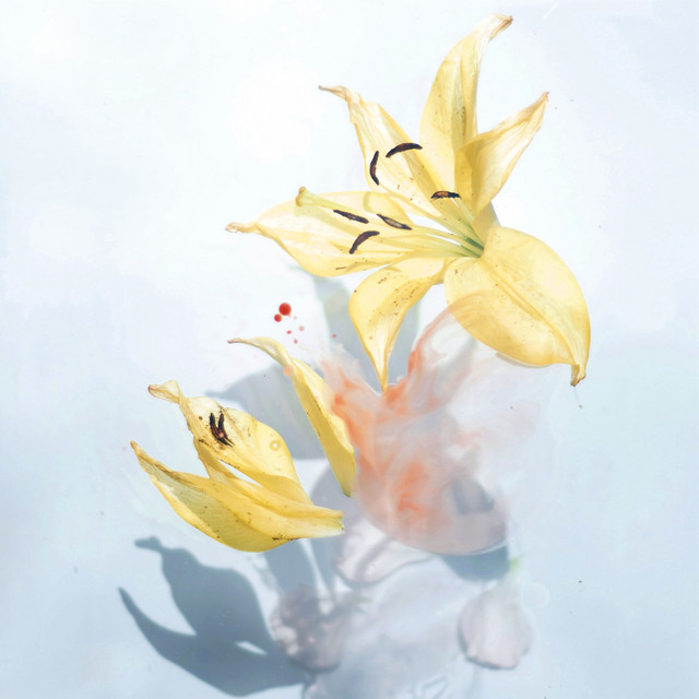 Relaxing Nature Music Therapy, Vol. 2 cover art