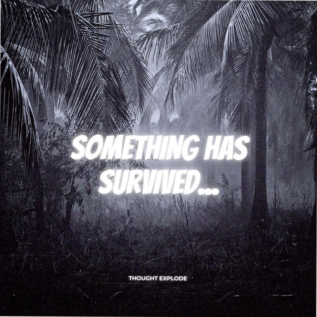Something Has Survived cover