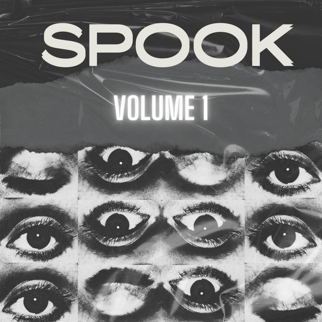 VOL 1 cover art