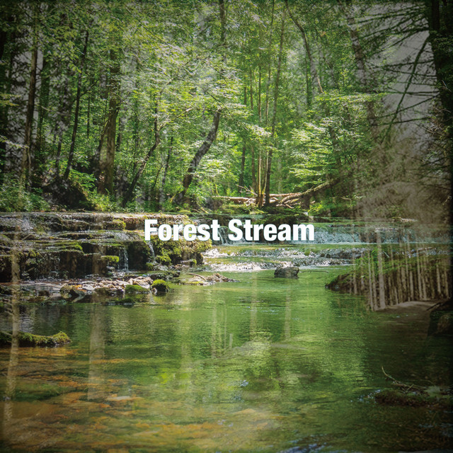 Forest Stream cover art