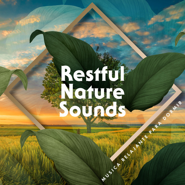 Restful Nature Sounds - Album by Musica Relajante Para Dormir | Spotify