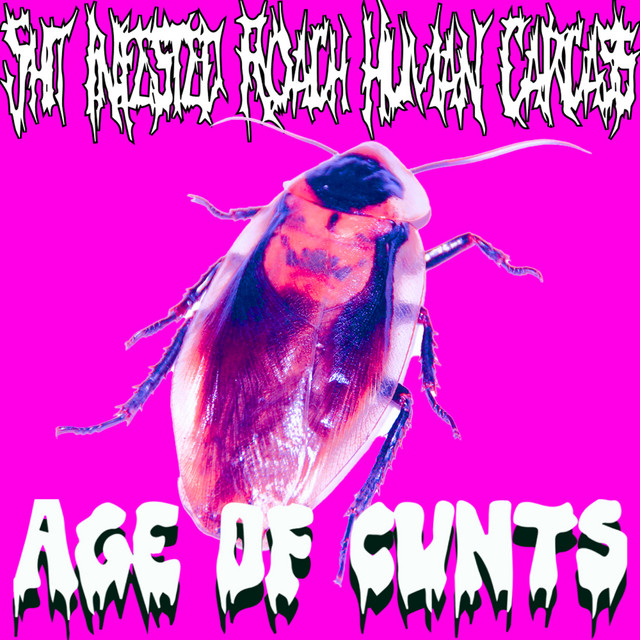 Age Of Cunts cover art