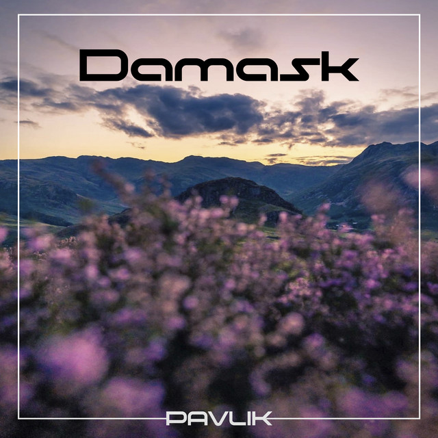 Обкладинка: Damask — Pavlik