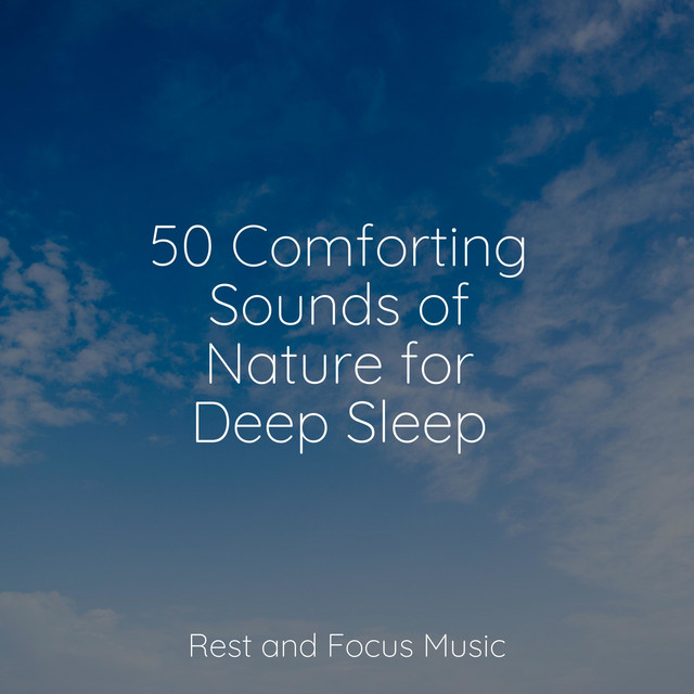 50 Comforting Sounds of Nature for Deep Sleep - Album by The Sleep ...