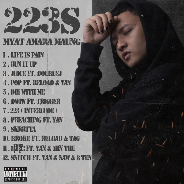 223S album image