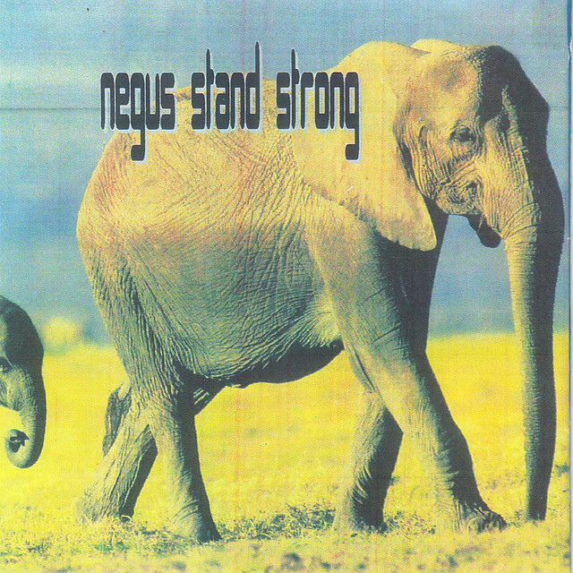 Negus Stand Strong - Compilation by Various Artists | Spotify