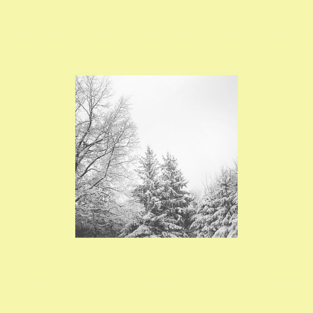 Midvinter photo