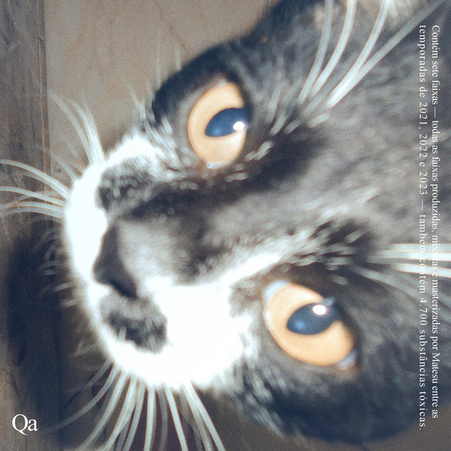 Qa cover art