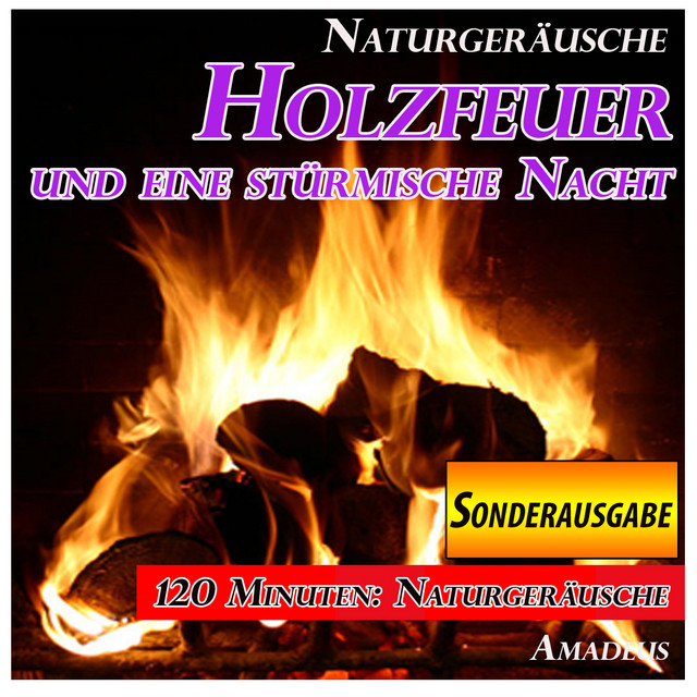 Holzfeuer und eine stürmische Nacht: Naturgeräusche: Sonderausgabe cover art