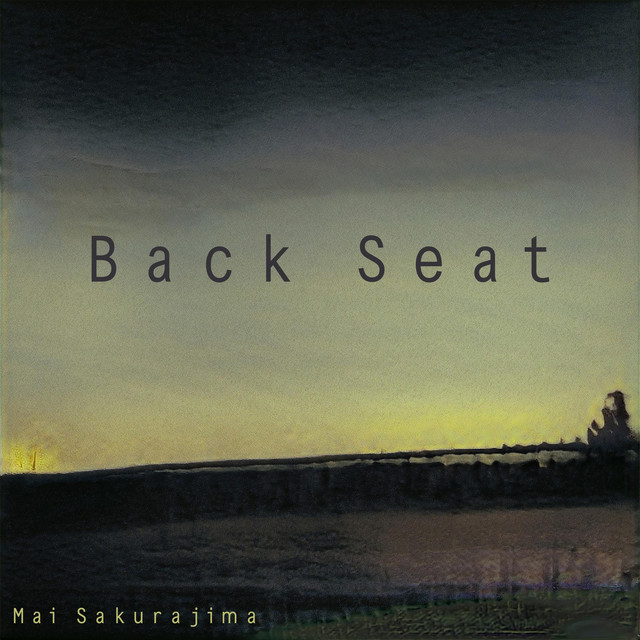 Back Seat cover