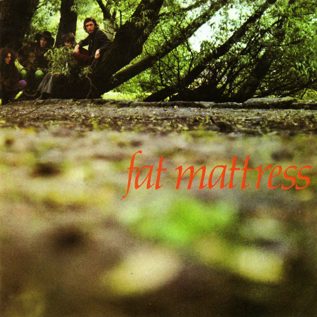 Fat Mattress cover
