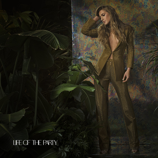 Life Of The Party cover