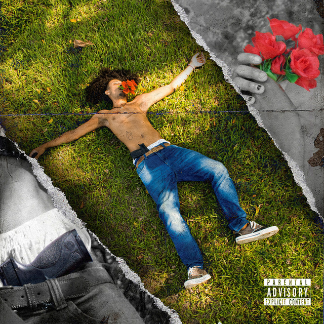 Armas & Rosas cover art