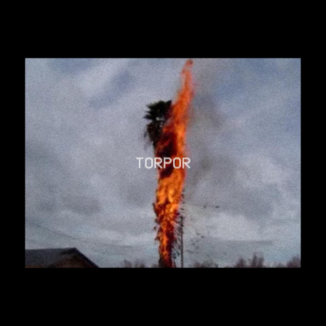 torpor cover art