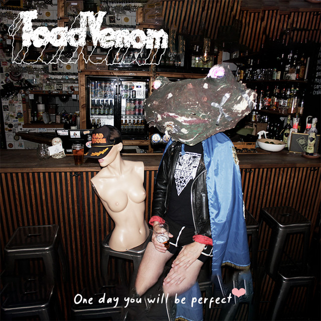 One Day You Will Be Perfect cover