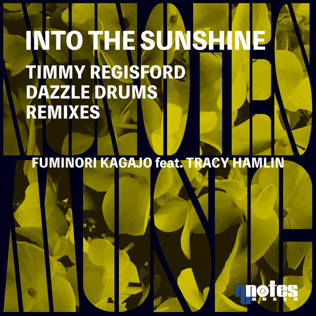 Into The Sunshine (Timmy Regisford & Dazzle Drums Remixes) cover art