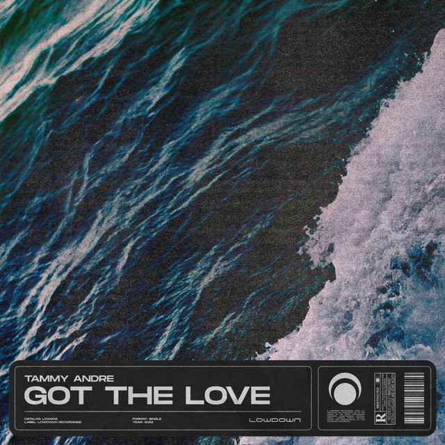 Got The Love