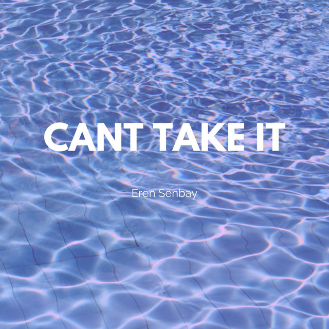 Can't Take It
