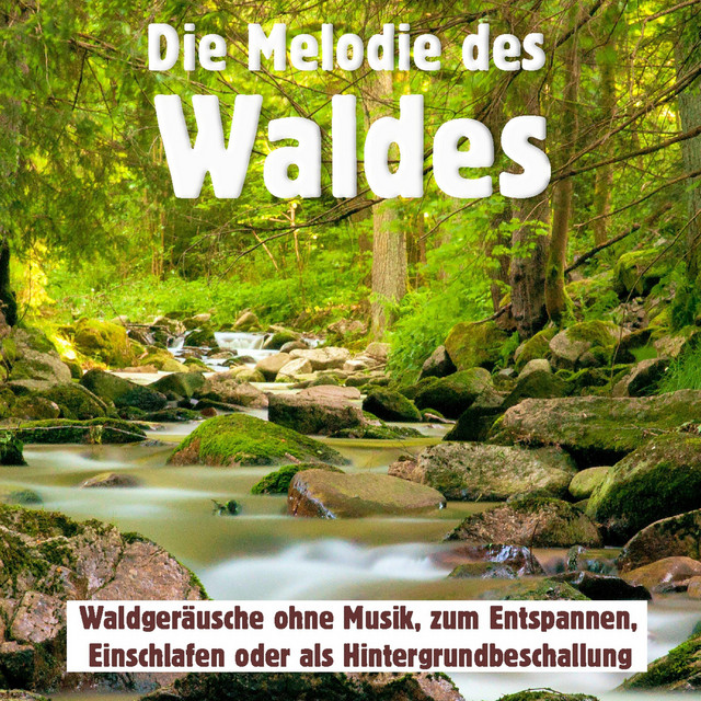 Die Melodie des Waldes, Waldgeräusche ohne Musik, zum Entspannen, Einschlafen oder als Hintergrundbeschallung cover art