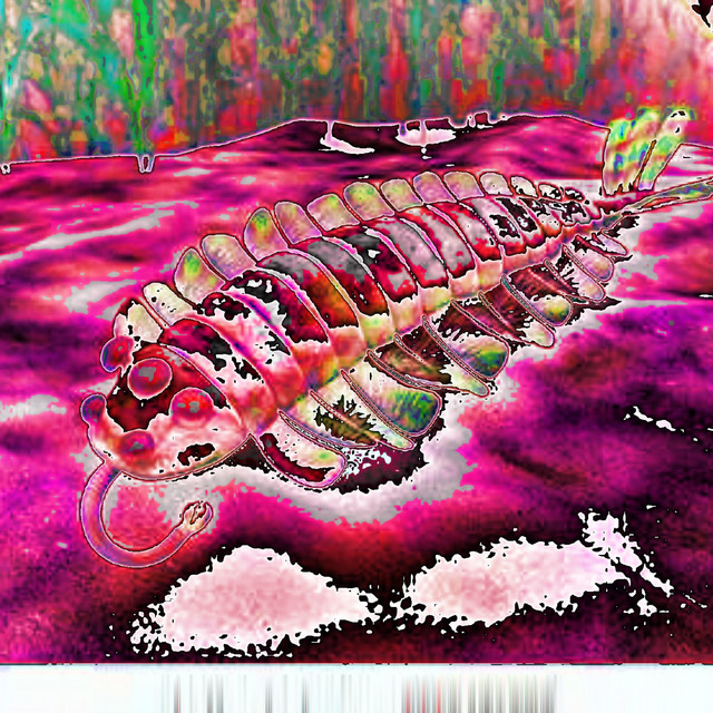 Internet Music IRL (Live) cover art
