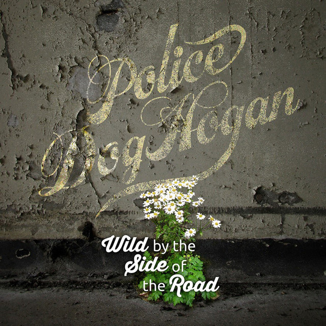 Wild By the Side of the Road cover art