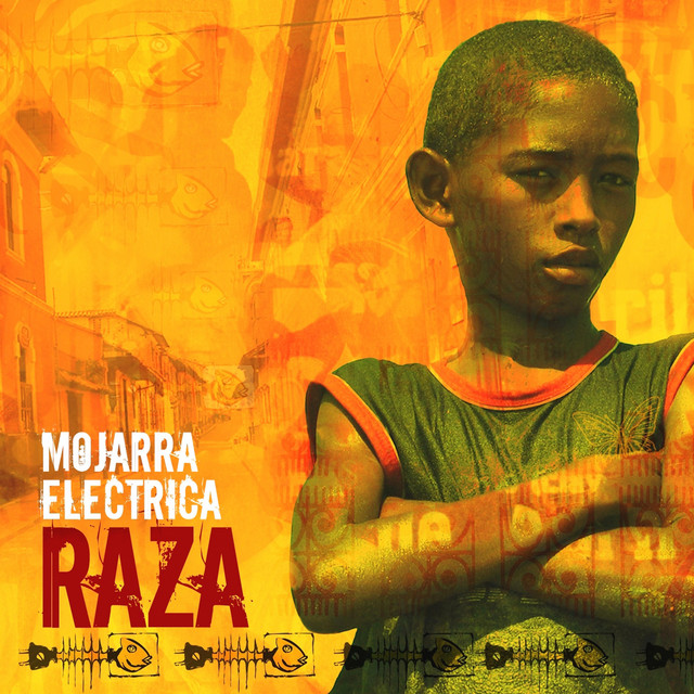 Raza cover art