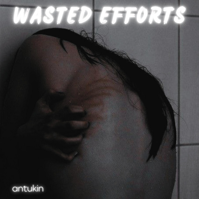 WASTED EFFORTS cover