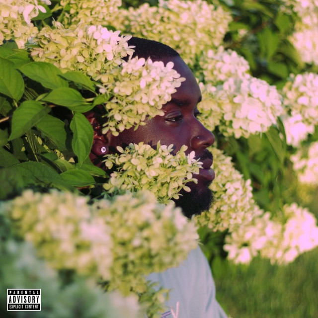 No Comparison cover art